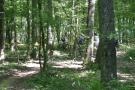 gal/GP_VTT_Hettange_2_juillet_2006/_thb_GP HETTANGE VTT 2006 140.jpg